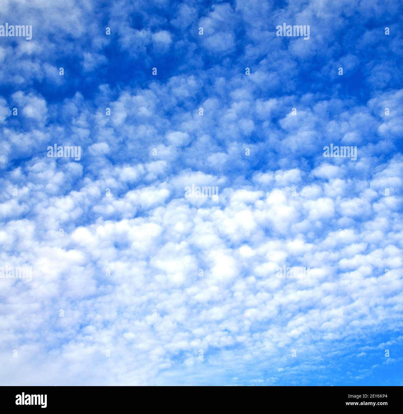 In the blue sky white soft clouds and abstract background Stock Photo ...