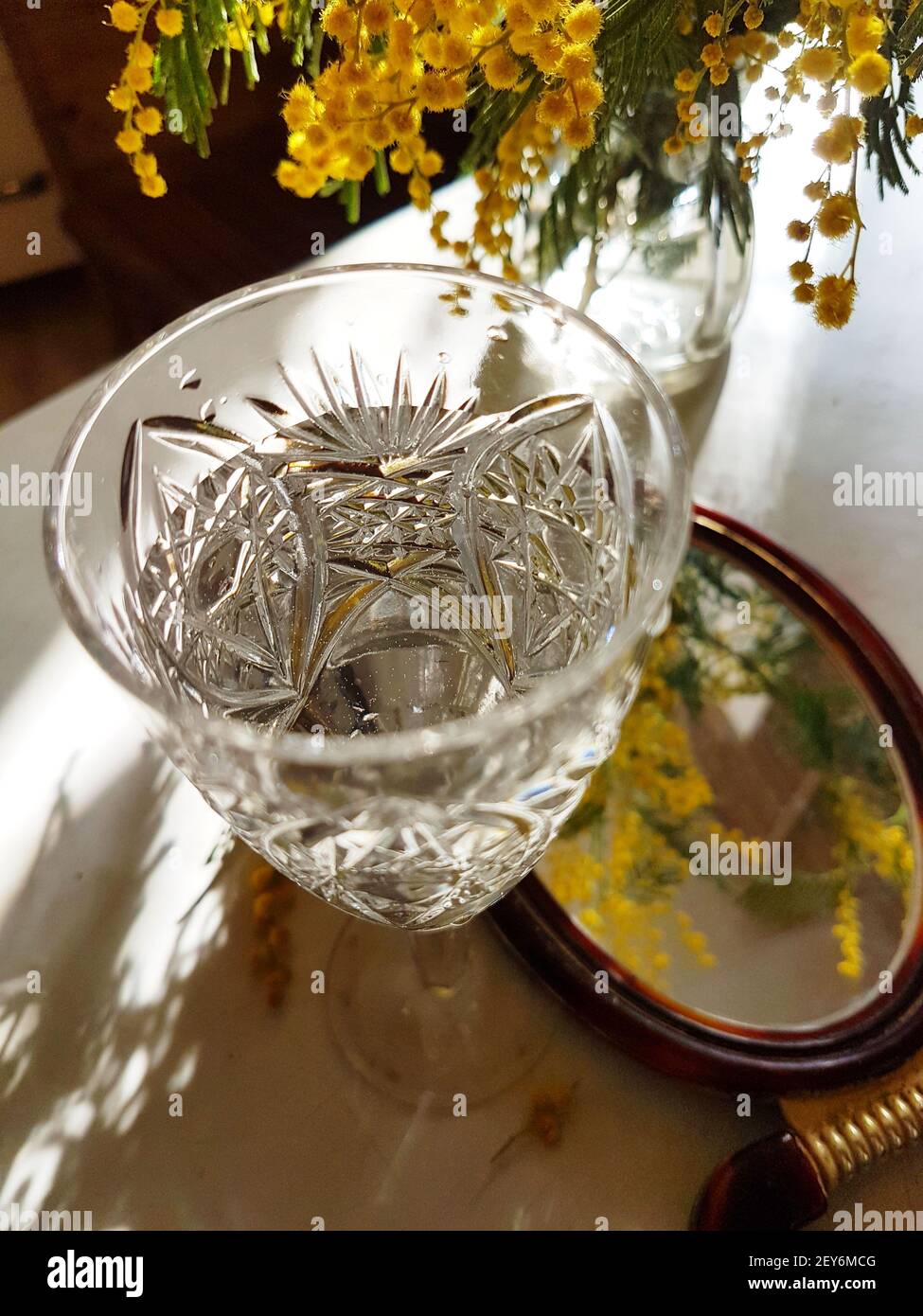 Mimosa bouquet with wine background Stock Photo - Alamy