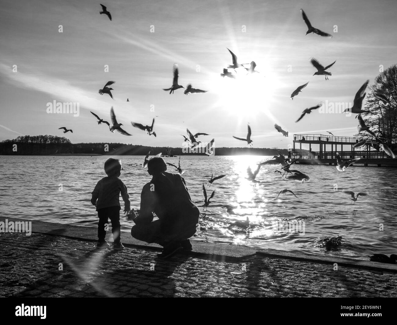 A grayscale back view of a father with his little child watching the birds flying Stock Photo