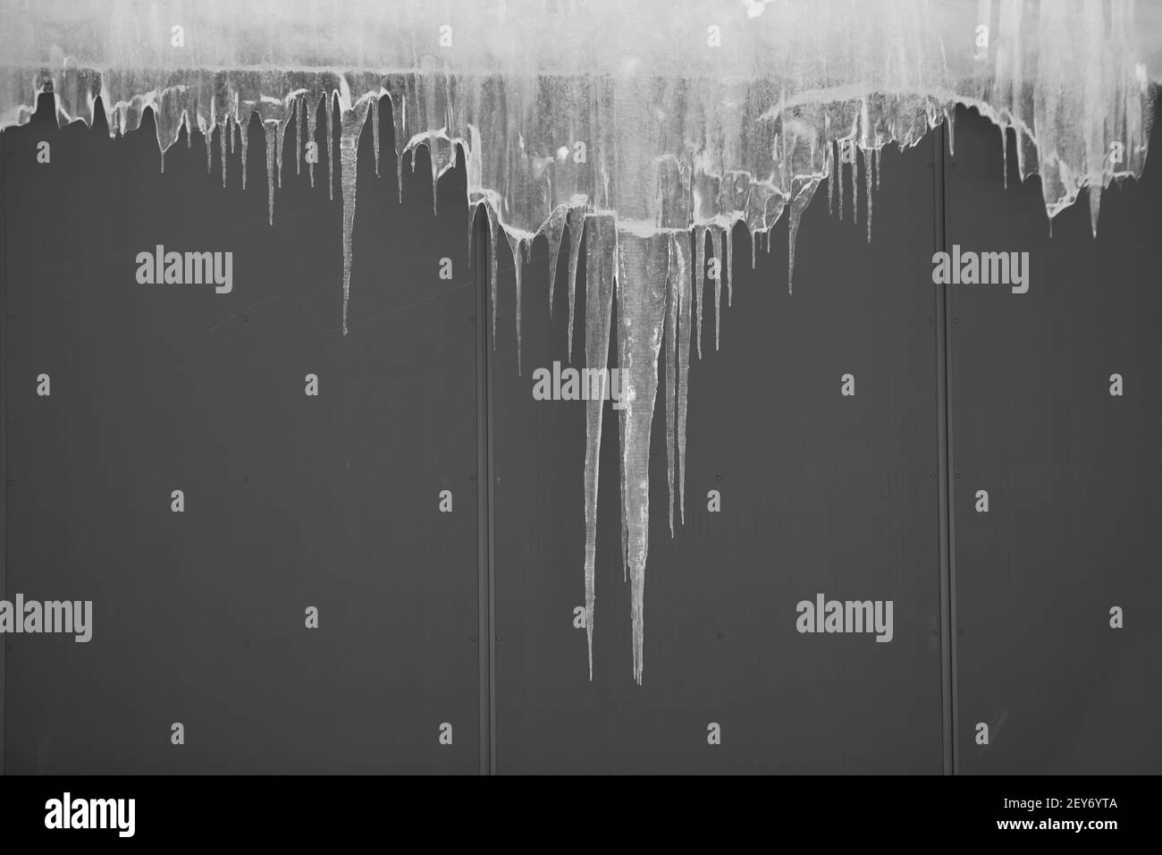 icicles hanging from roof of grey building clear frozen and transparent ice framing blank space for type with grey background winter freeze thaw Stock Photo
