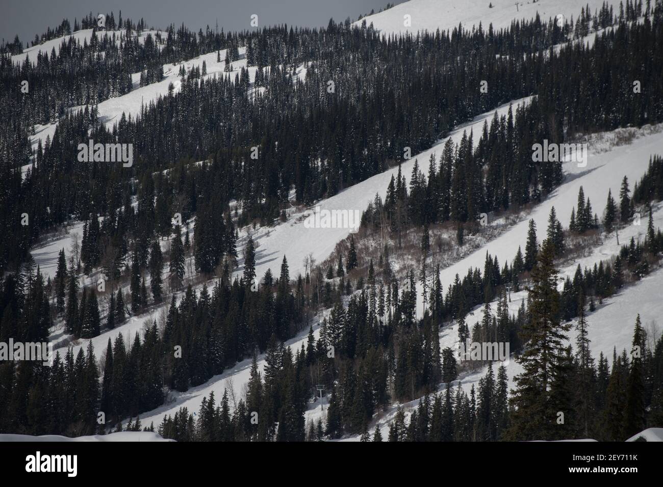 view of snow covered ski runs of Sun Peaks ski resort in Sunpeaks British Columbia Canada with trees on sides of ski runs or slopes on winters day Stock Photo