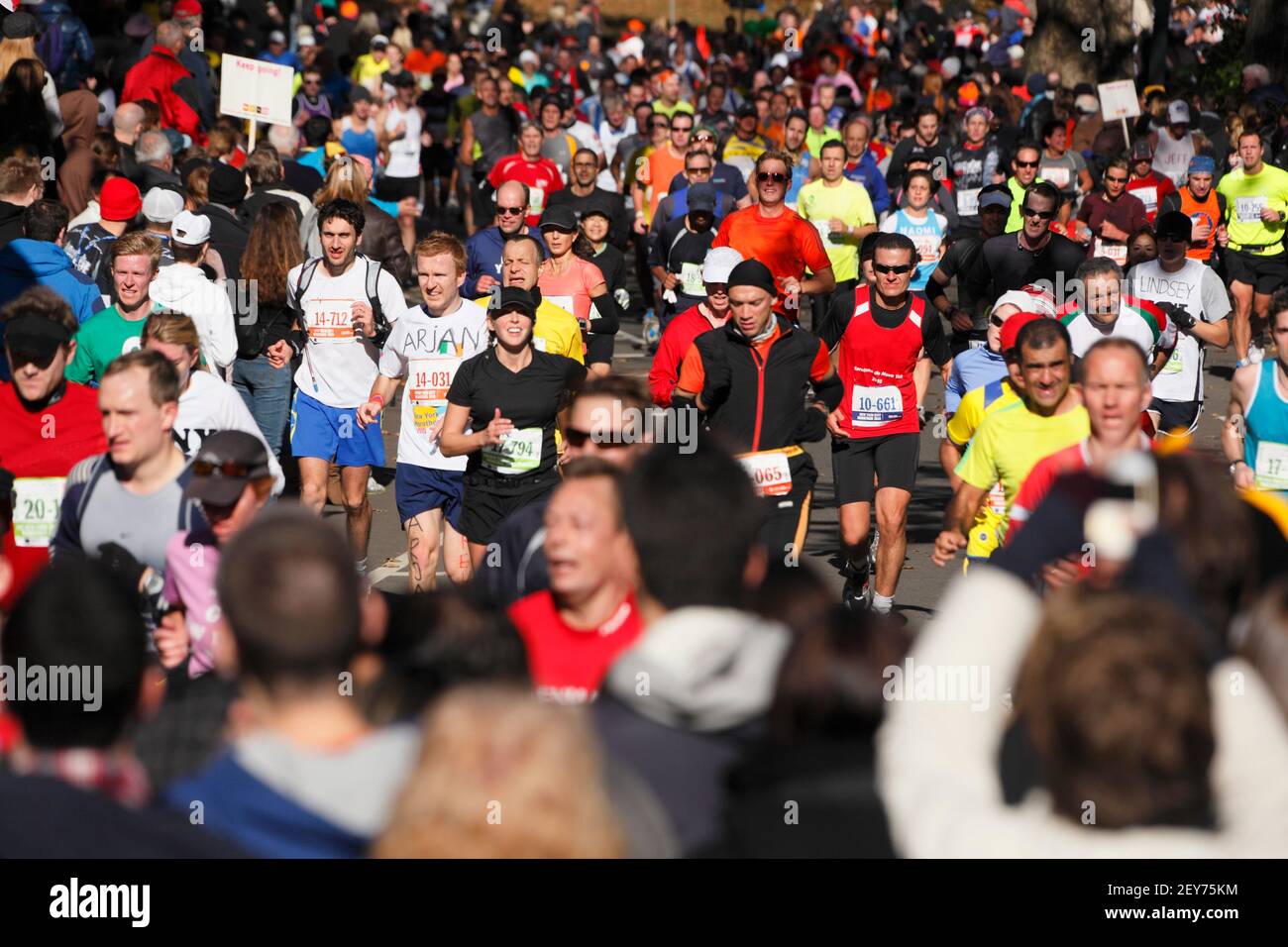 A crowd of New York City Marathon runners runs on Central Park in New