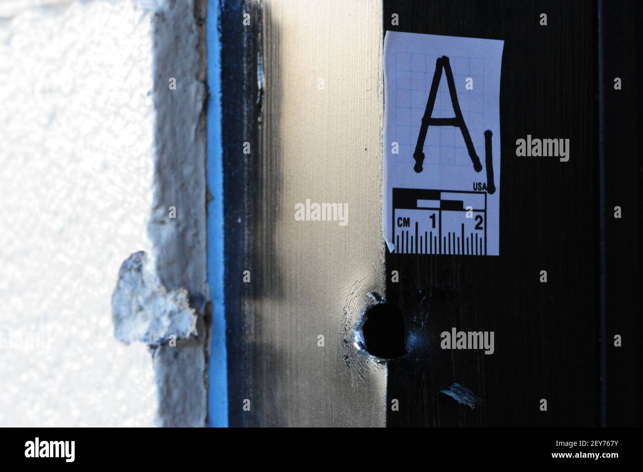 Army of FOX Logos | Davemadson enterprises inc. Wiki | Fandom, image size:1300x955