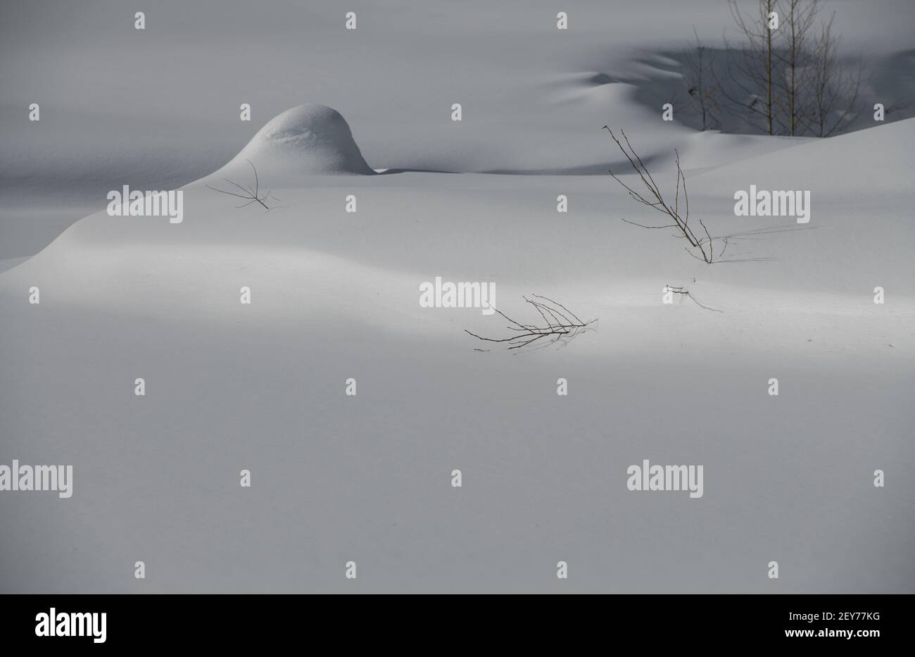 snow mound surrounded by fresh snow curves in white snow shadows and light sunny winters day cold weather winter temperatures scenic winter landscape Stock Photo