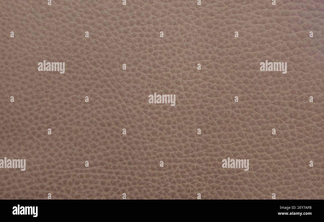 Full frame beige leather background showing leather grain and with copyspace Stock Photo