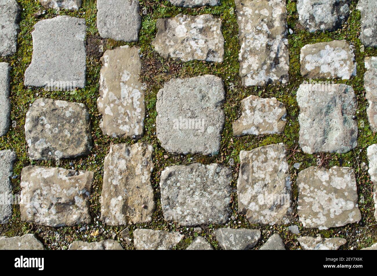 Close-up of paving stones with moss in between Stock Photo