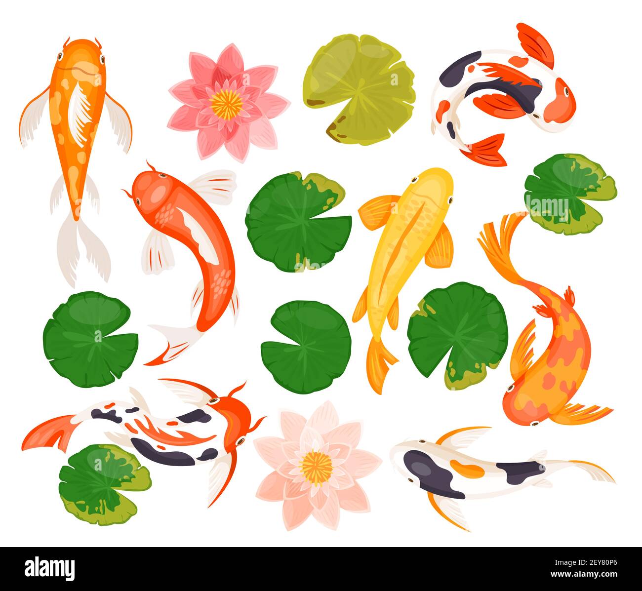 Koi carp fishes set, swimming colorful goldfish, pink blossom of lotus lily flower, leaf Stock Vector
