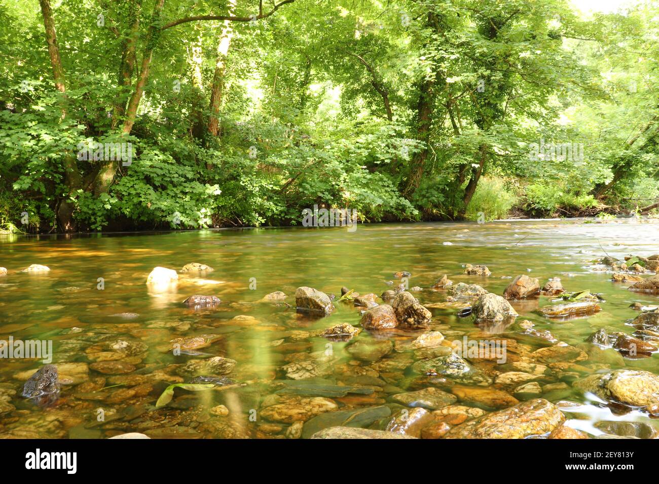 Clear waters of a Cornish stream showing the muddy brown stones underneath Stock Photo