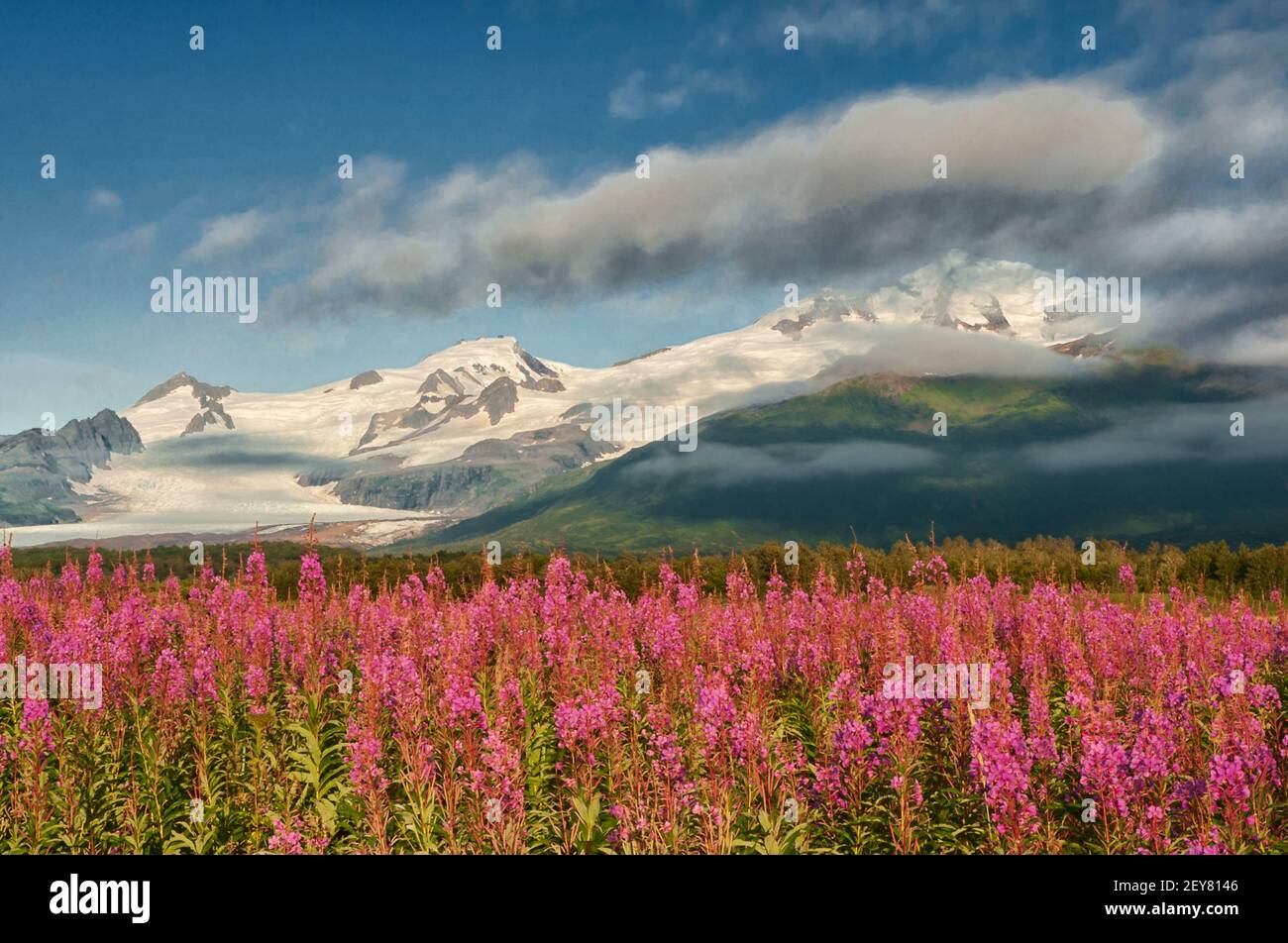 North America; United States; Alaska; Alaska Peninsula; Katmai National Park; Hallo Bay; Sunrise. Stock Photo