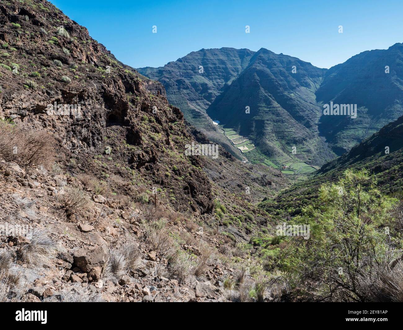 View of arid subtropical landscape of Barranco de Guigui Grande ravine ...