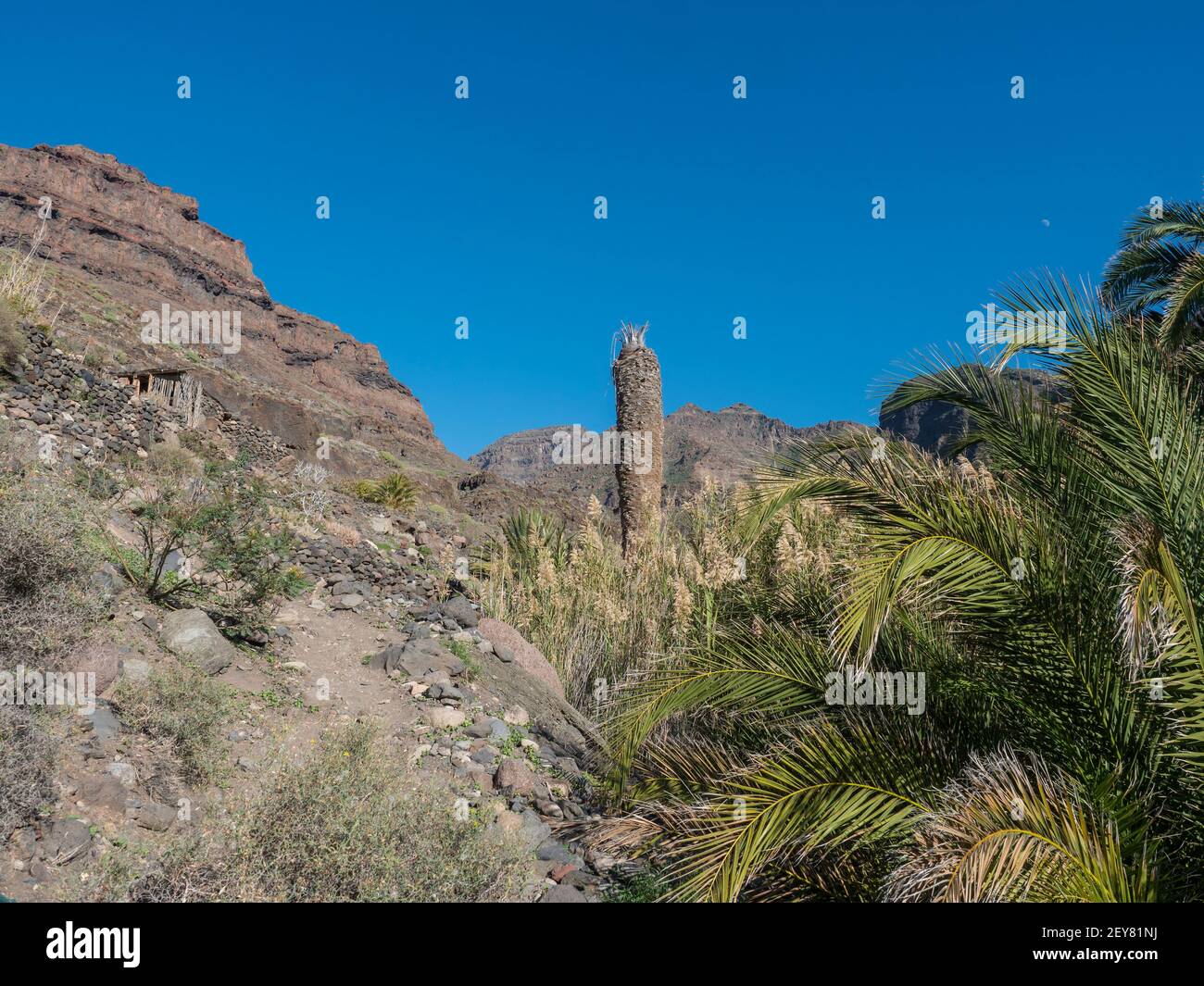 View of arid subtropical landscape of Barranco de Guigui Grande ravine ...