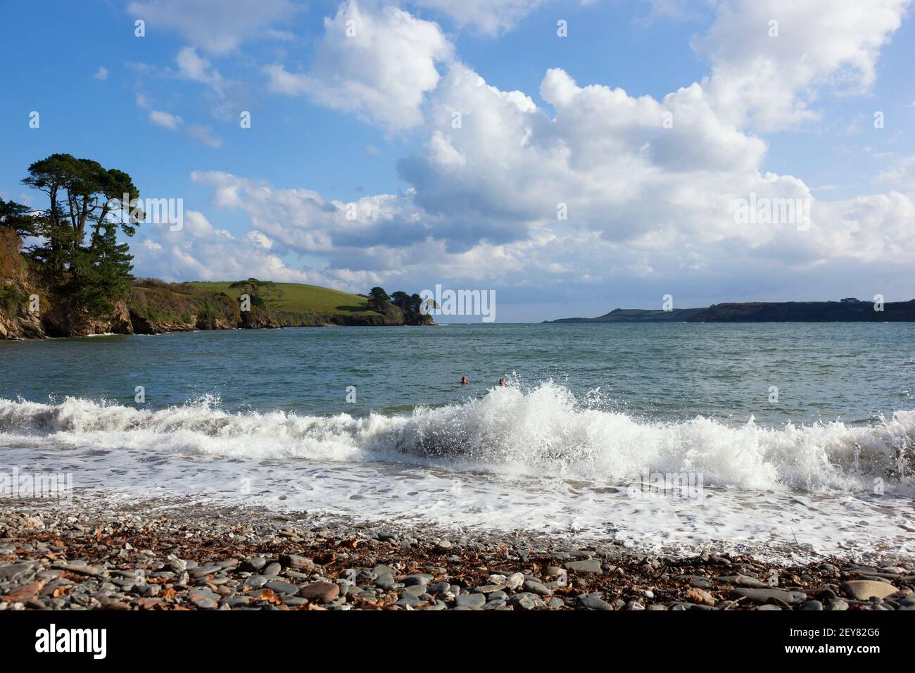 Swimmers in autumn at Grebe beach where the mouth of the Helford River leads out  to Falmouth Bay, Cornwall Stock Photo
