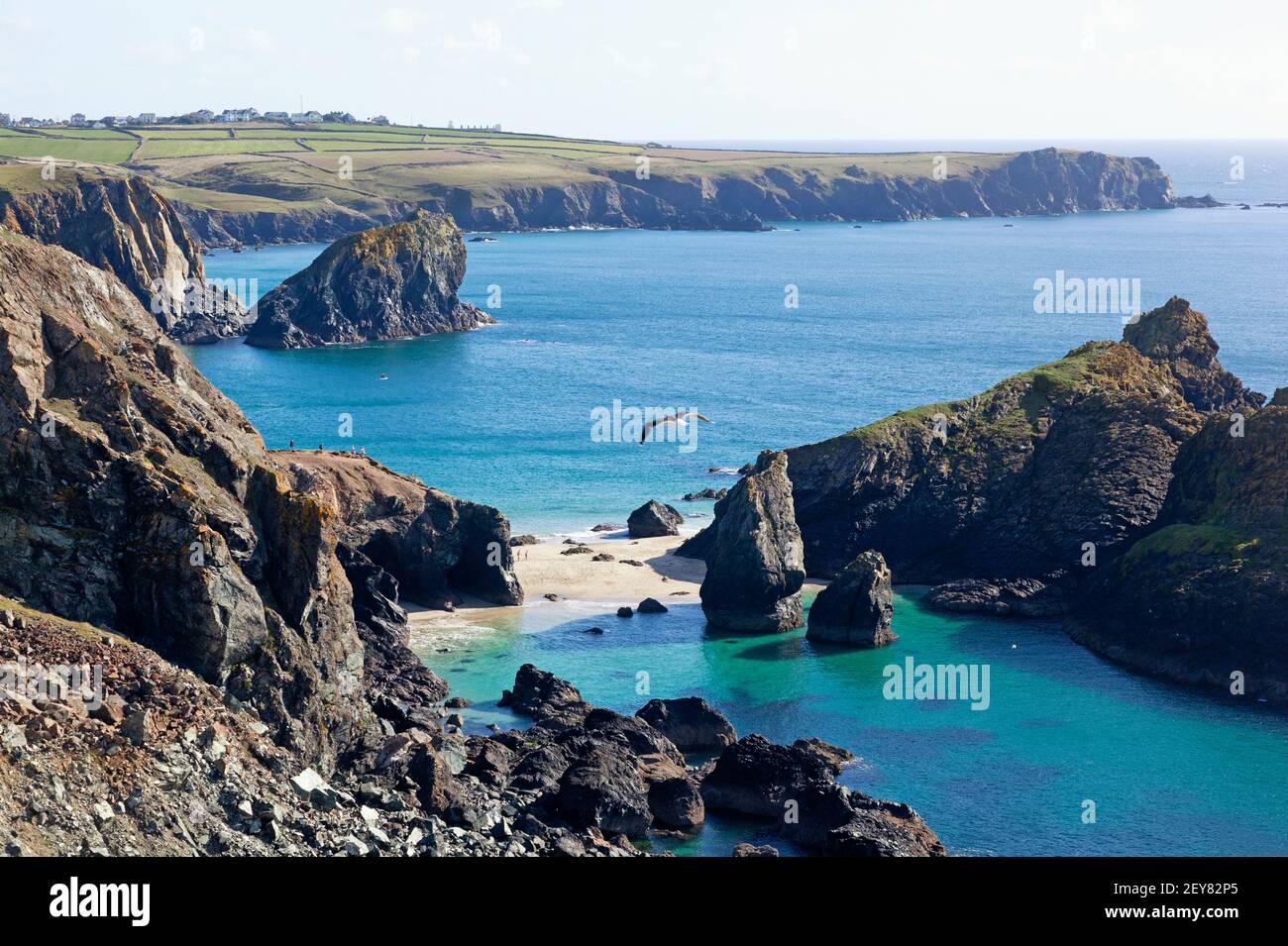 Elevated view to visitors enjoying a sunny day on the beaches at Kynance Cove on the Lizard peninsula in Cornwall, UK Stock Photo