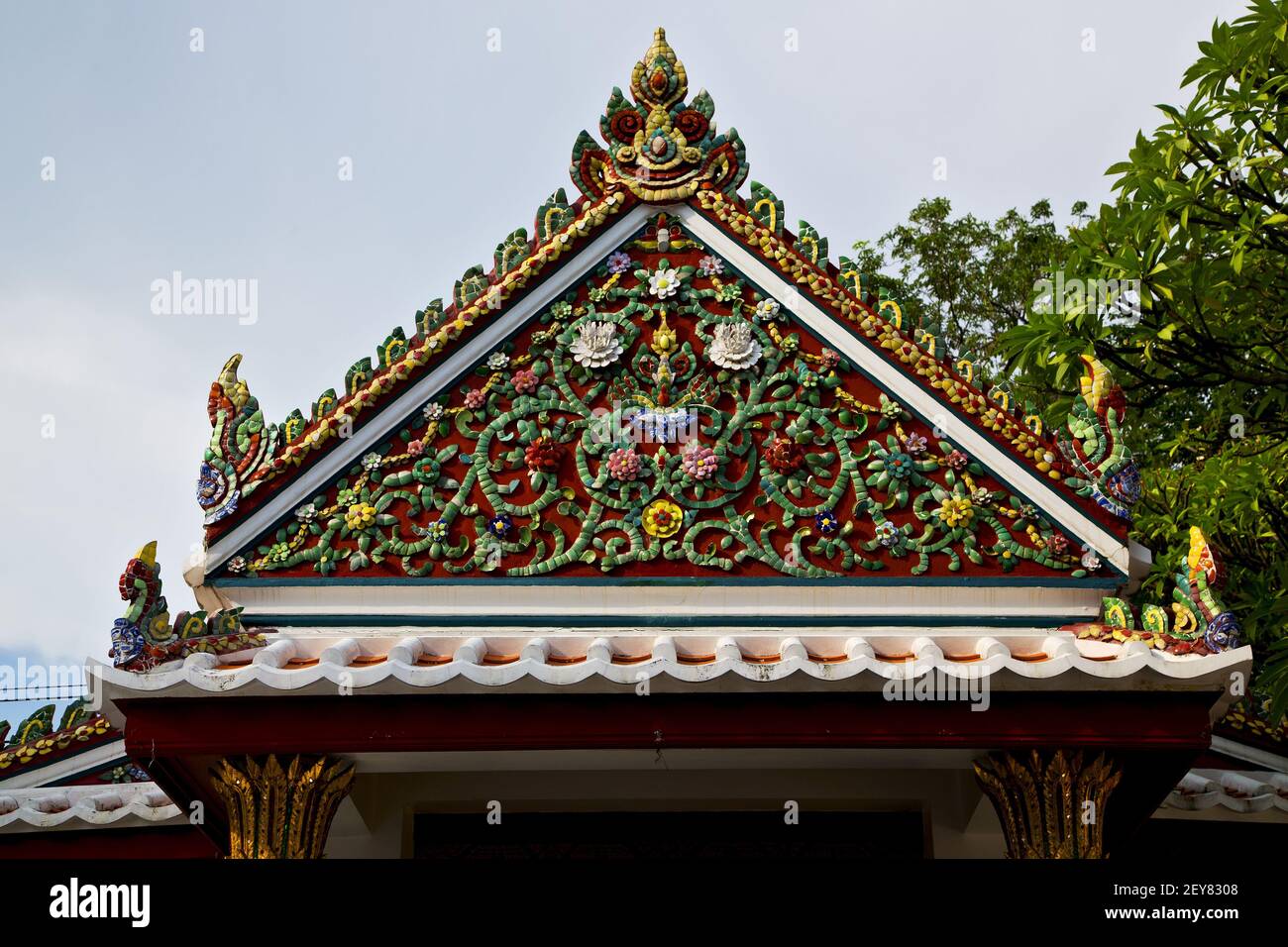 Asia thailand in bangkok sunny flower Stock Photo - Alamy