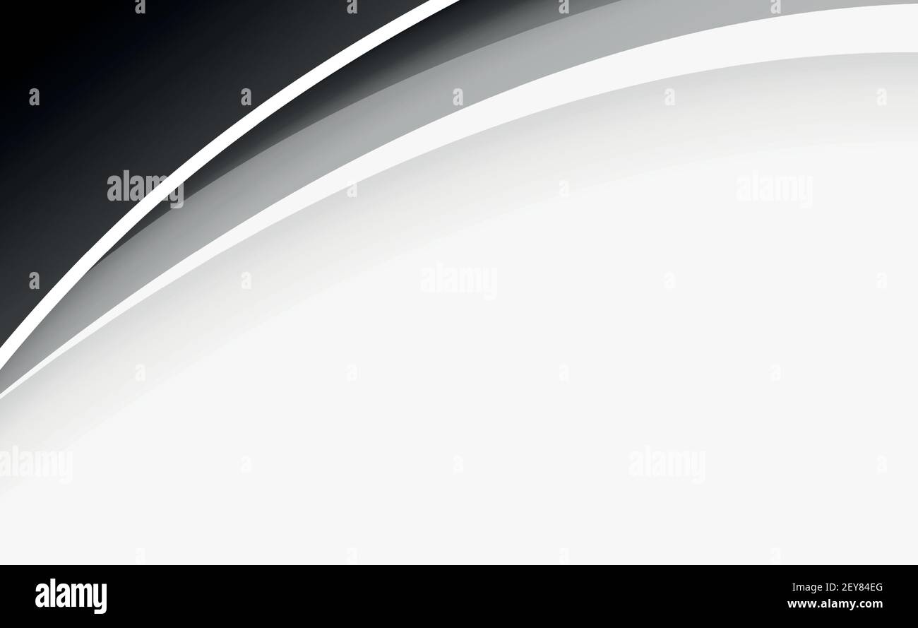 Abstract web template black and gray lines on white background - Vector ...