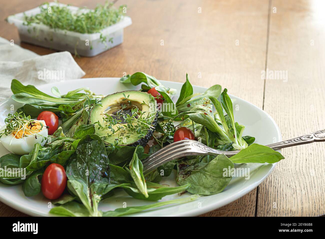 Healthy eating with microgreens - avocado, egg, green salad, cherry tomatoes and watercress sprouts in a white plate on a wooden table Stock Photo