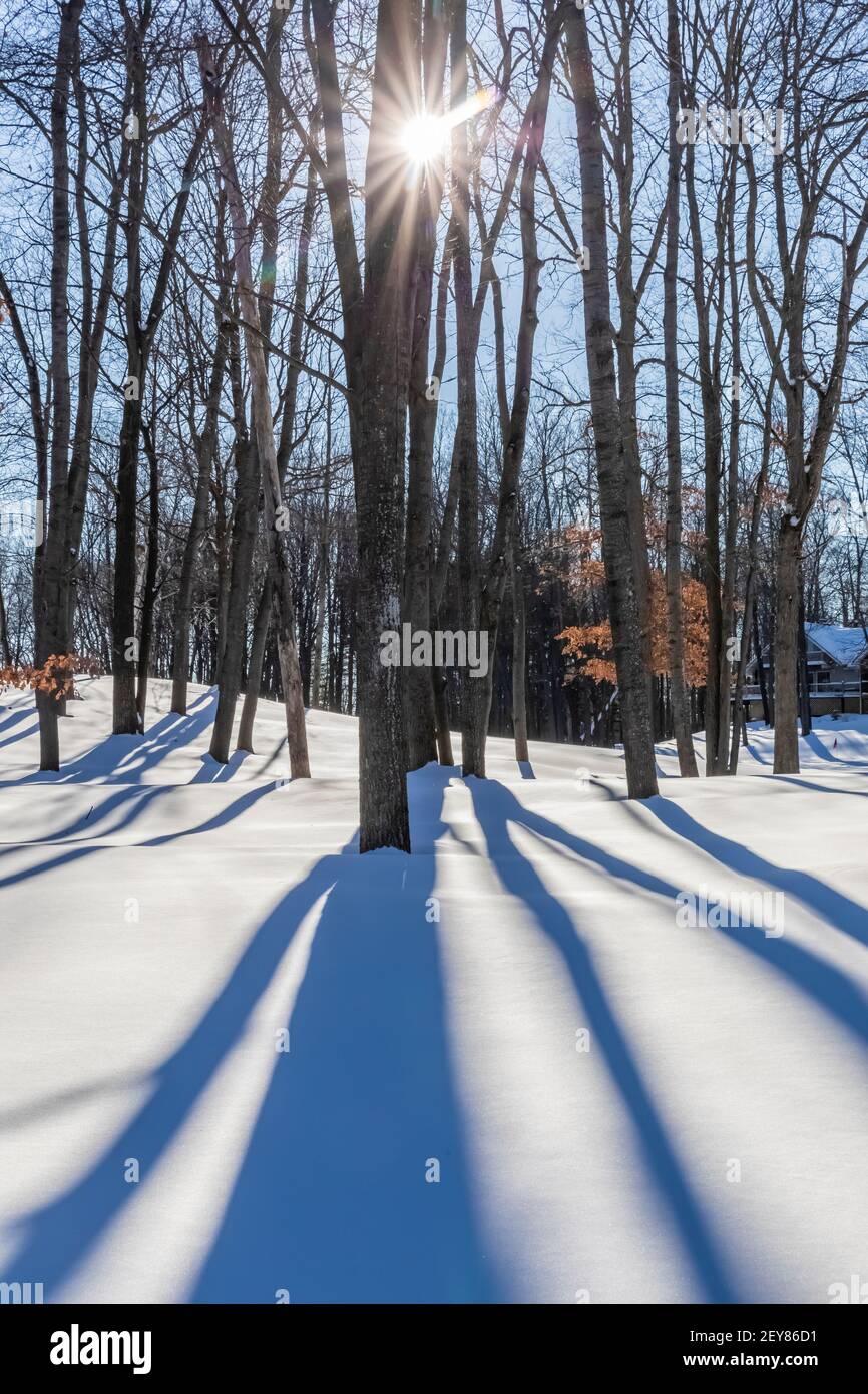 Tree shadows on a sunny day in winter in central Michigan, USA Stock Photo
