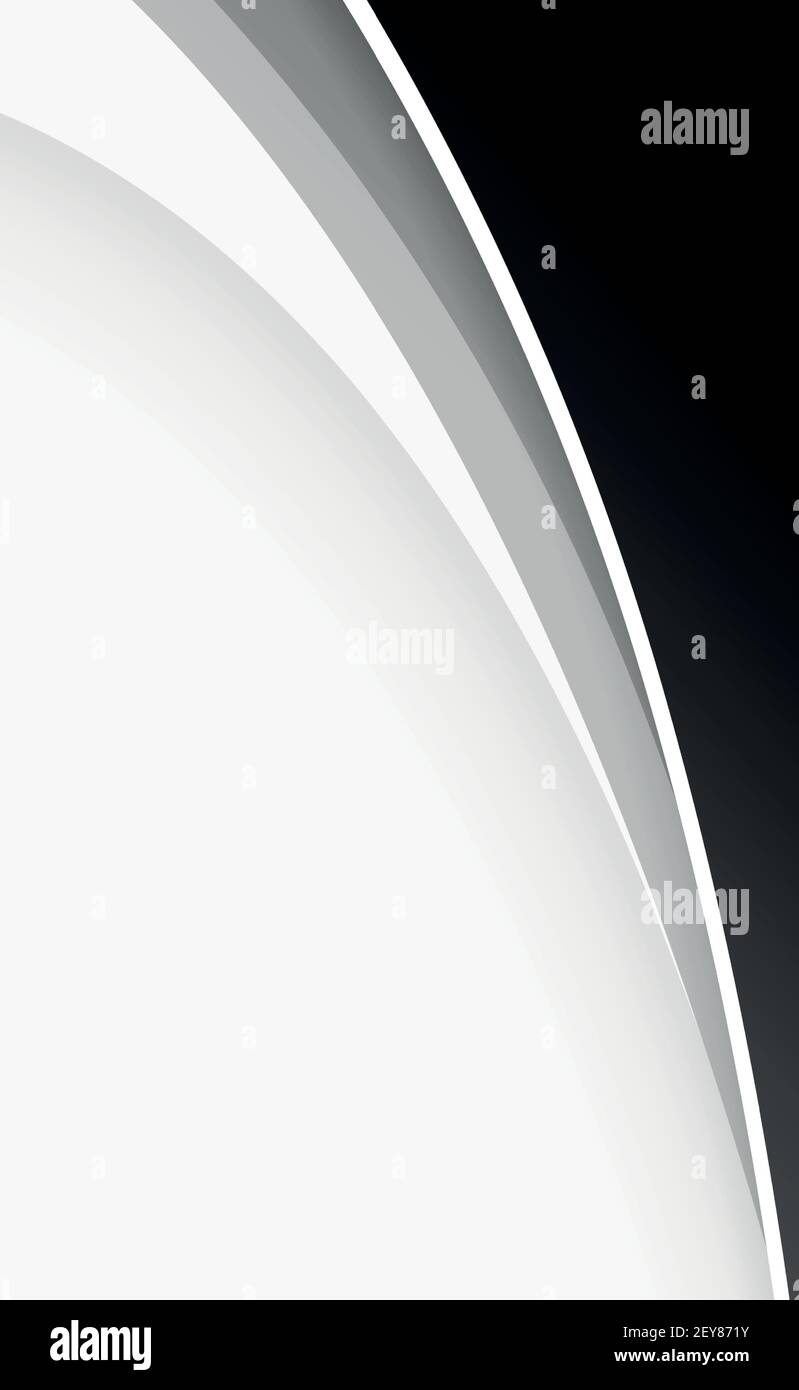 Abstract web template black and gray lines on white background - Vector ...