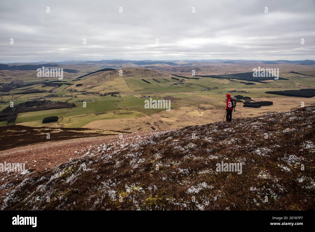 patterned ground on the slopes of Tinto Hill in Lanarkshire, Scotland. Stock Photo
