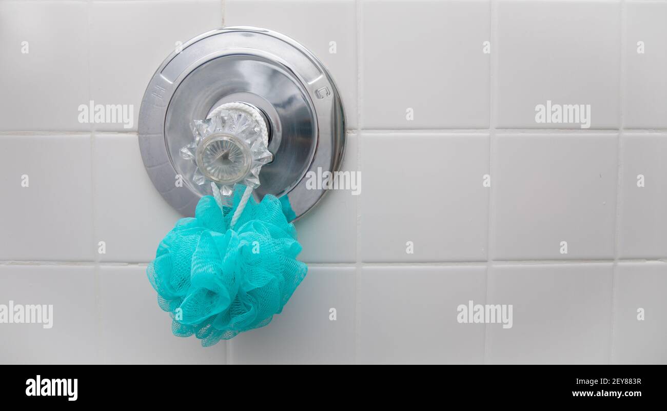 A blue loofah sponge hanging in a dry shower on the temperature guage