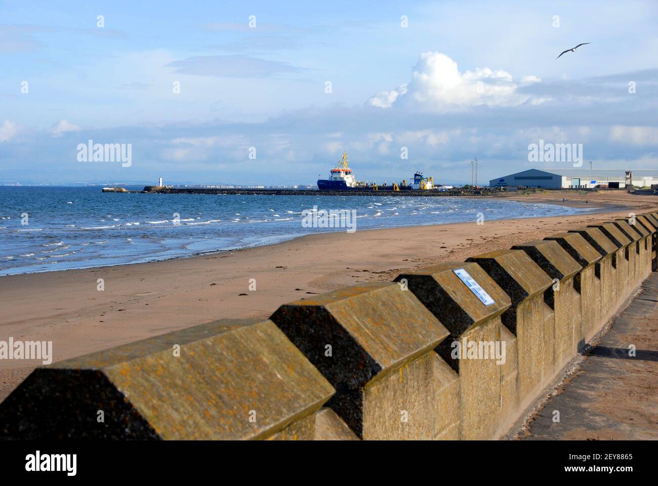 Sea wall, Ayr, Ayrshire, Scotland with lone gull flying over Stock Photo
