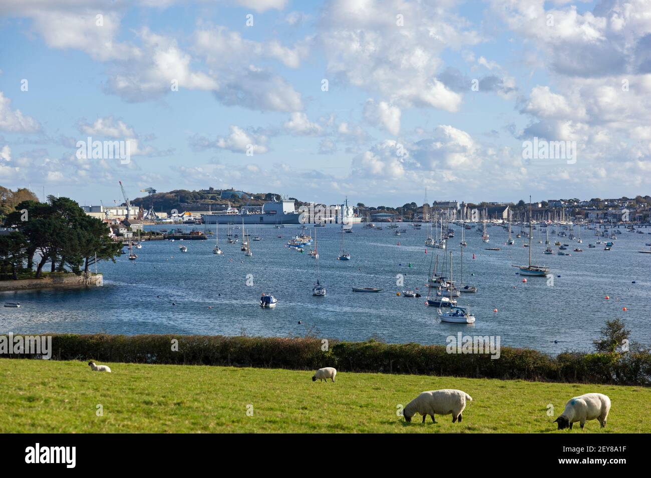 Panoramic view from a coastal walk to the expansive Falmouth harbour with large ships and a variety of yachts moored there Stock Photo