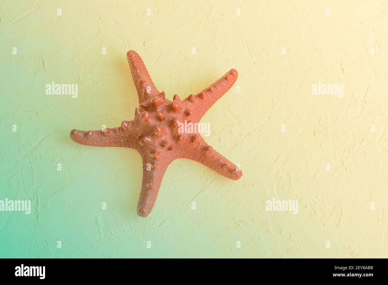 Large red starfish on textured background. Beach vacation concept, travel. Toned photo, selective focus, fog view. Stock Photo