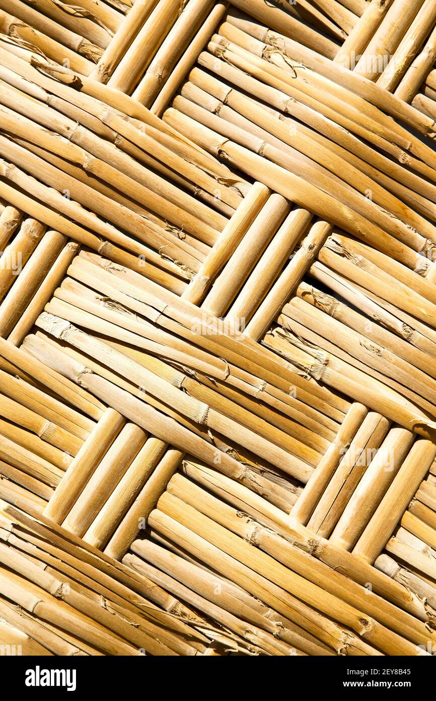 Texture bamboo in morocco africa Stock Photo Alamy