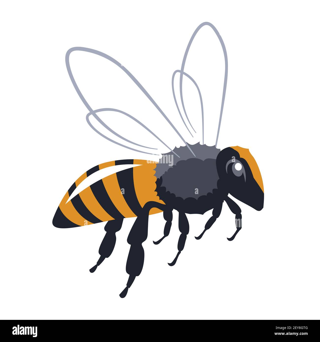 Honey Bee Vector Illustration Stock Vector Image And Art Alamy