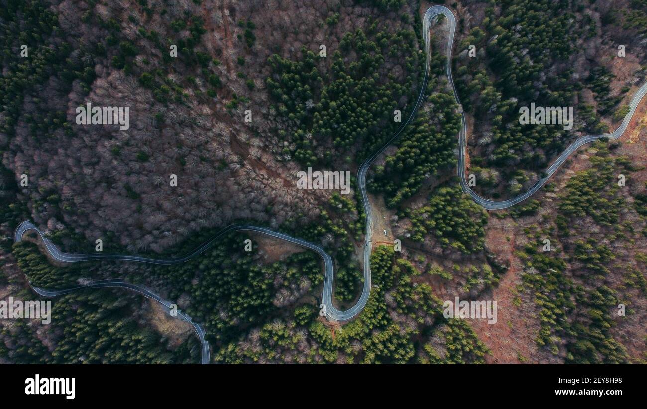An aerial view of a winding road surrounded by greens and trees Stock ...