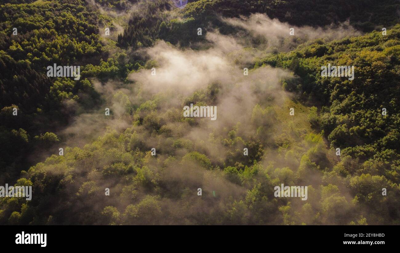 An aerial view of foggy mountains covered in forests Stock Photo - Alamy