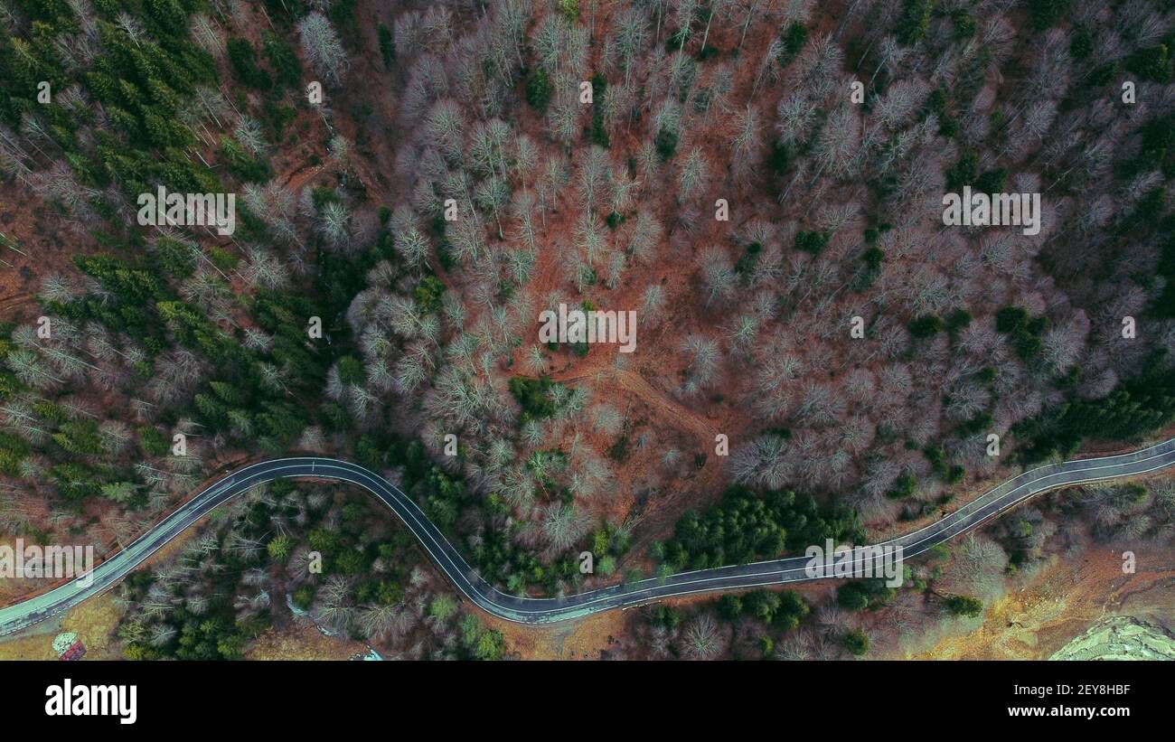 An aerial view of a winding road surrounded by greens and trees Stock ...