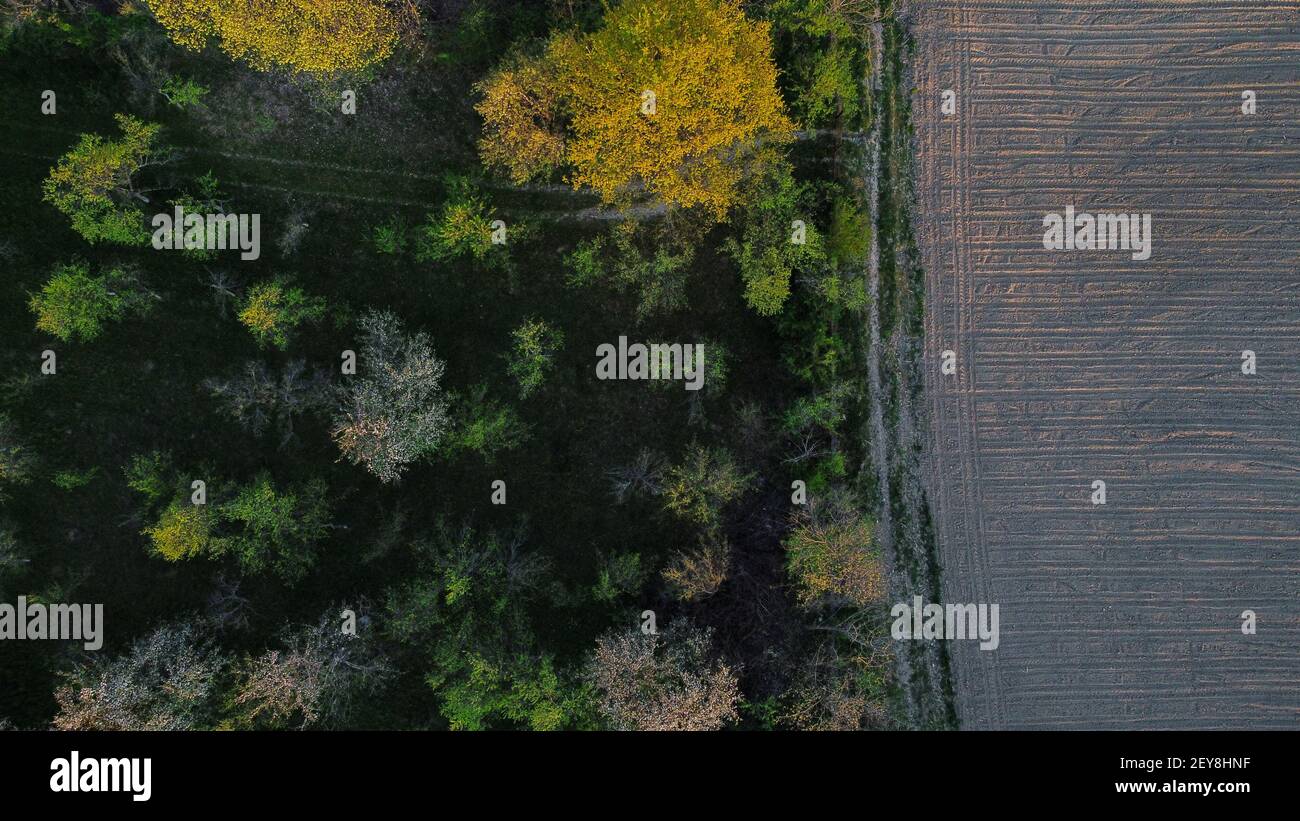 Aerial view mixed green forest hi-res stock photography and images - Alamy