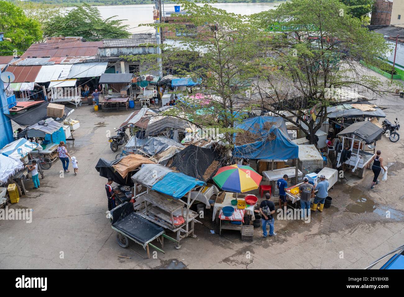 Puerto Berrío fish market, Antioquia, Colombia Stock Photo Alamy