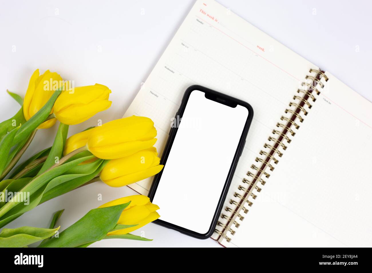 bouquet of yellow tulips and phone lying on a notebook on a white background  Stock Photo