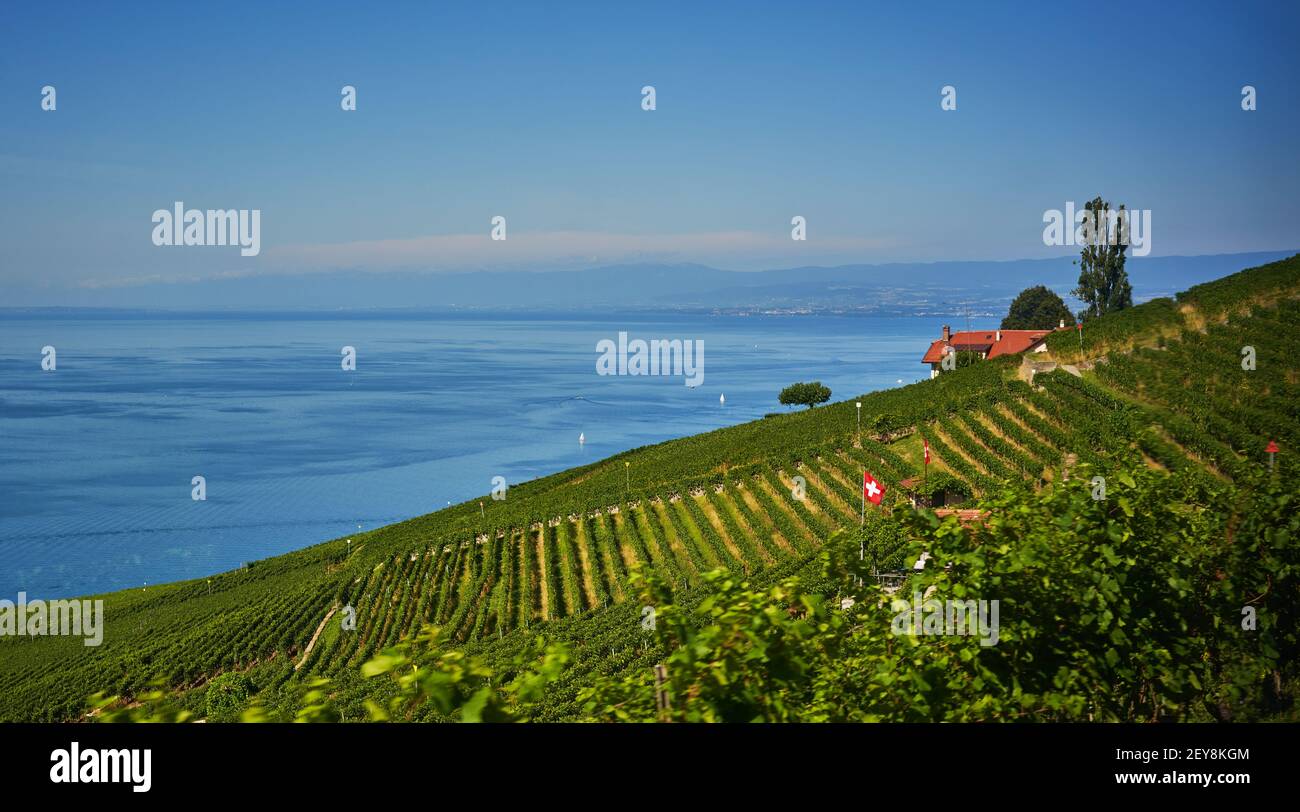 Lausanne Switzerland Aerial High Resolution Stock Photography and Images -  Alamy