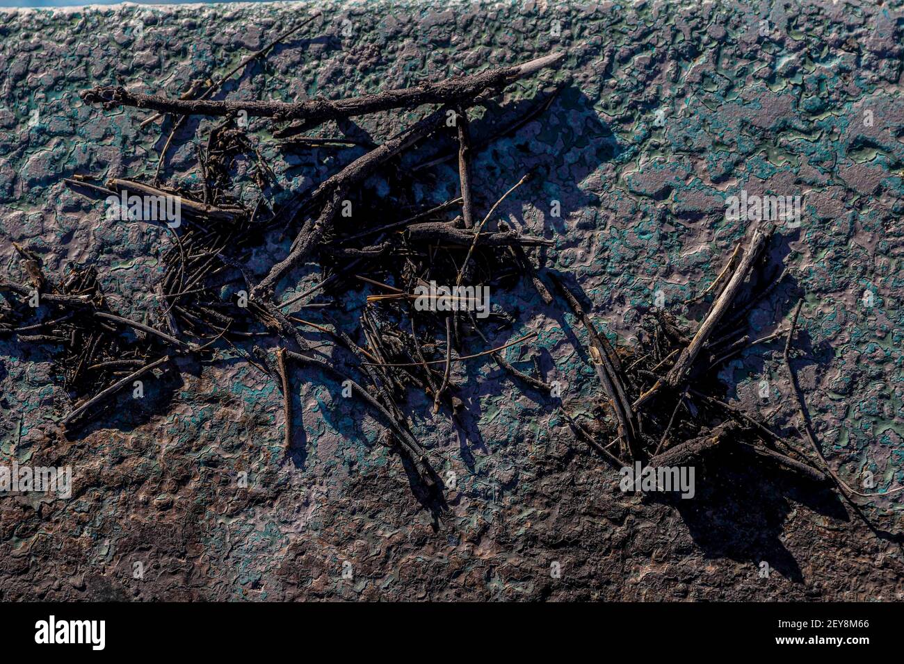 Soil texture, dry branches and ashes in rural area Real del Alamito in  Sonora, Mexico  Photo: (Photo by Luis Gutierrez / Norte Photo)  dry,  dry Stock Photo - Alamy