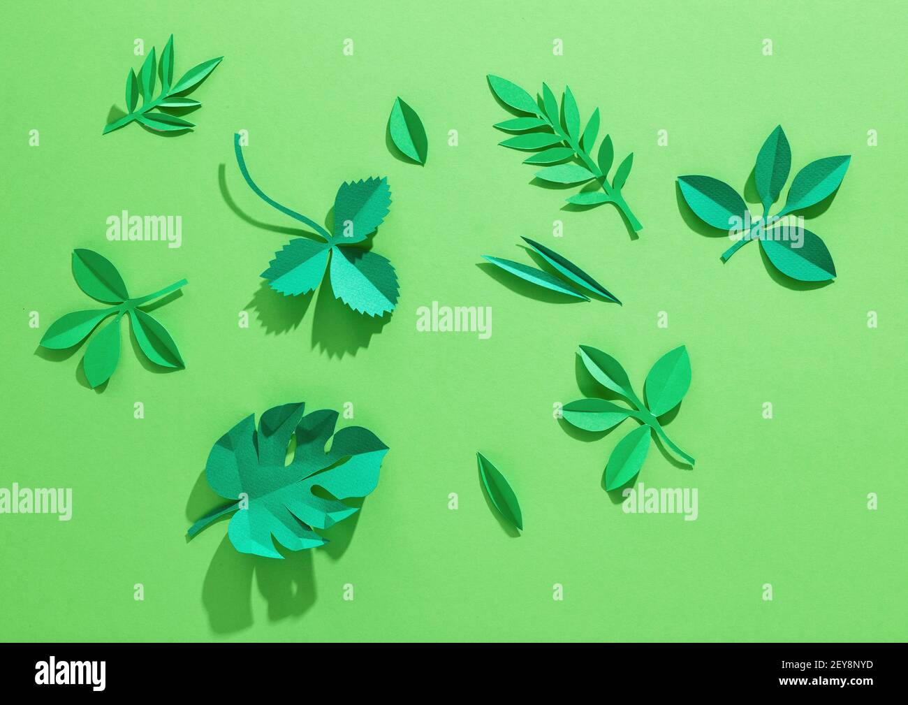 green background with paper leaves Stock Photo