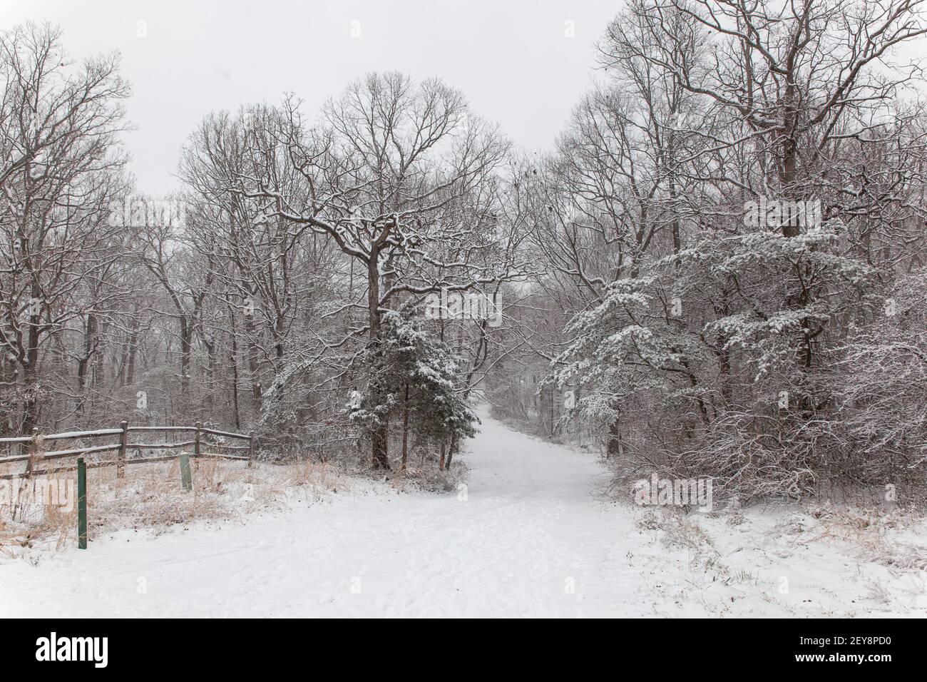 Park in winter in Virginia snow cold weather Stock Photo Alamy