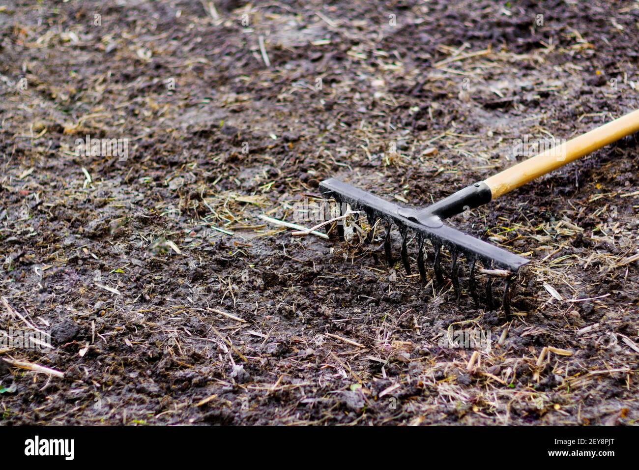 Garden rake. Black metal rake is being pulled through dry soil ready