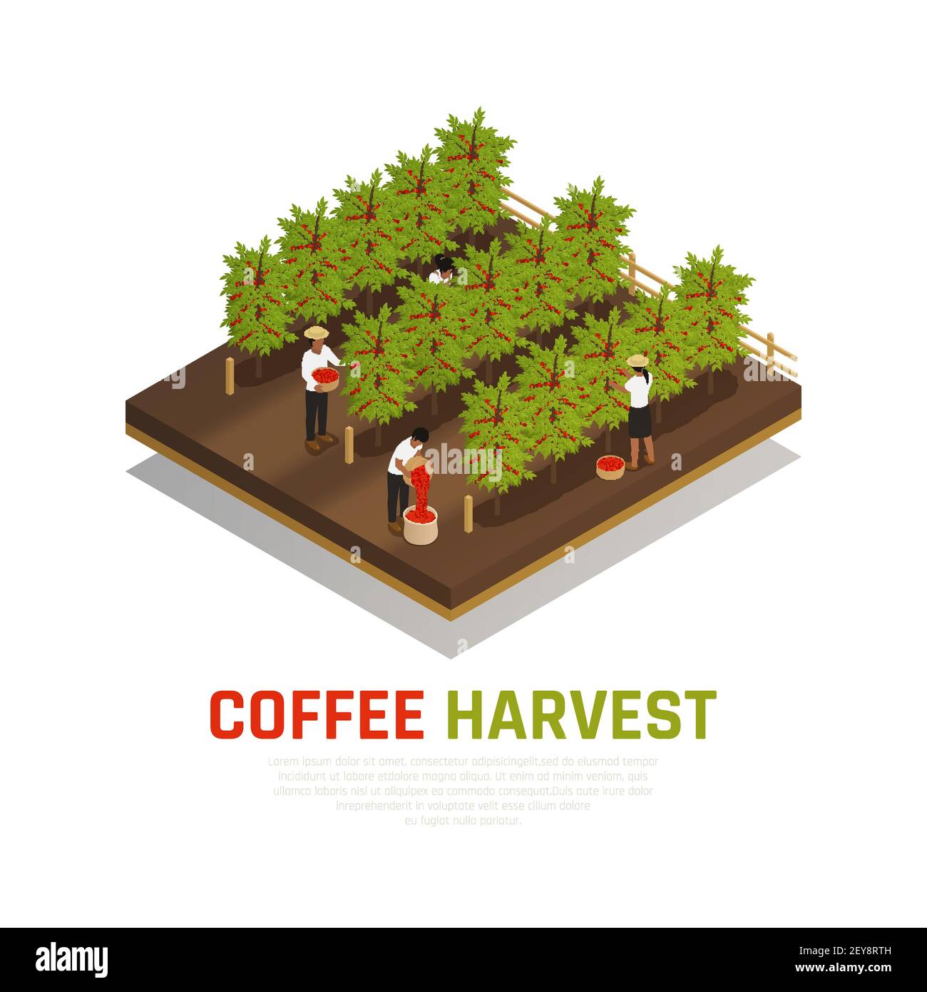 Coffee Farming Graphics Coffee industry production isometric composition with coffee trees on ...