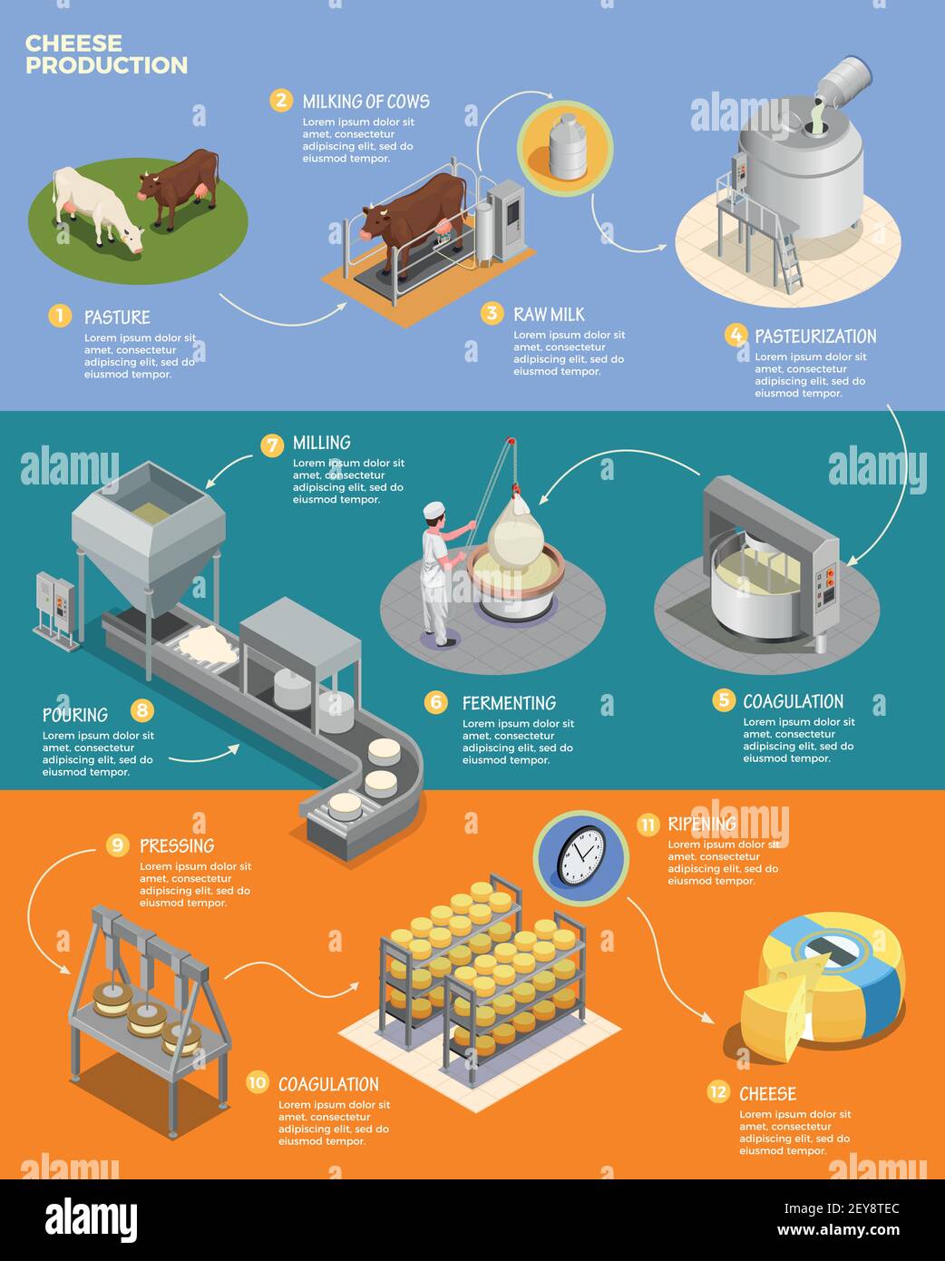 Cheese production isometric infographics layout with eleven phases