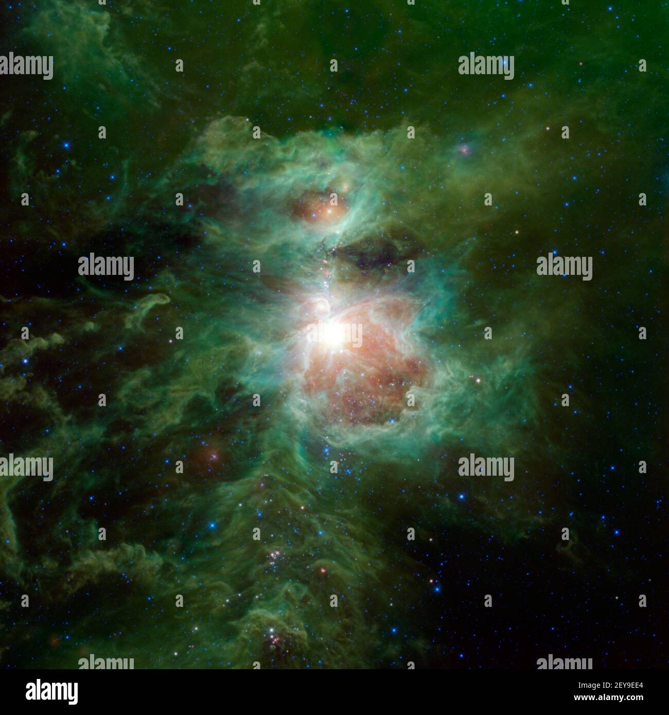 The Orion nebula is featured in this sweeping image from NASA's Wide-field Infrared Survey Explorer, or WISE. The constellation of Orion is prominent in the evening sky throughout the world from about December through April of each year. The nebula (also catalogued as Messier 42) is located in the sword of Orion, hanging from his famous belt of three stars. The star cluster embedded in the nebula is visible to the unaided human eye as a single star, with some fuzziness apparent to the most keen-eyed observers. Because of its prominence, cultures all around the world have given special signific Stock Photo