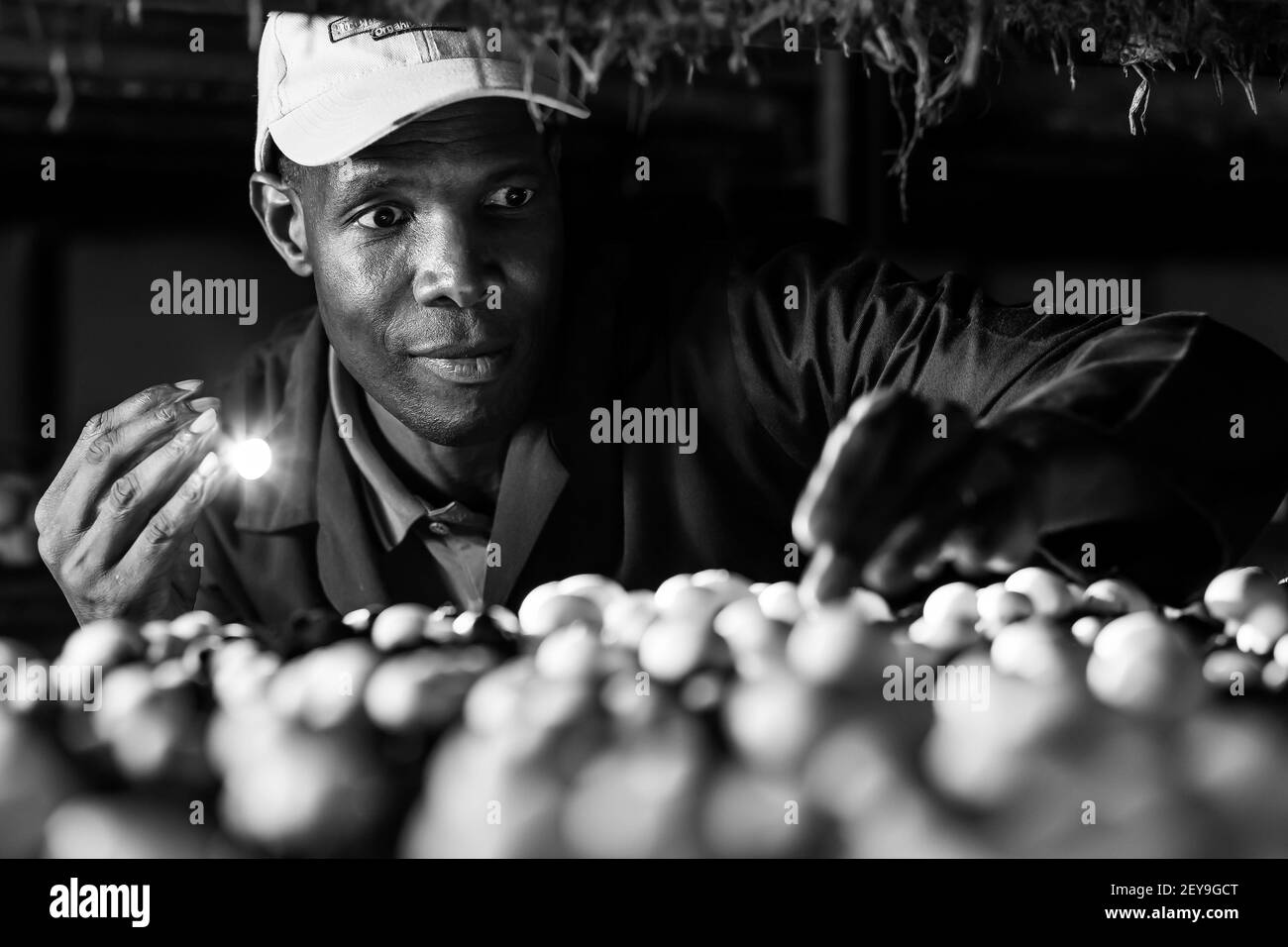 JOHANNESBURG, SOUTH AFRICA Jan 05, 2021 Johannesburg, South Africa