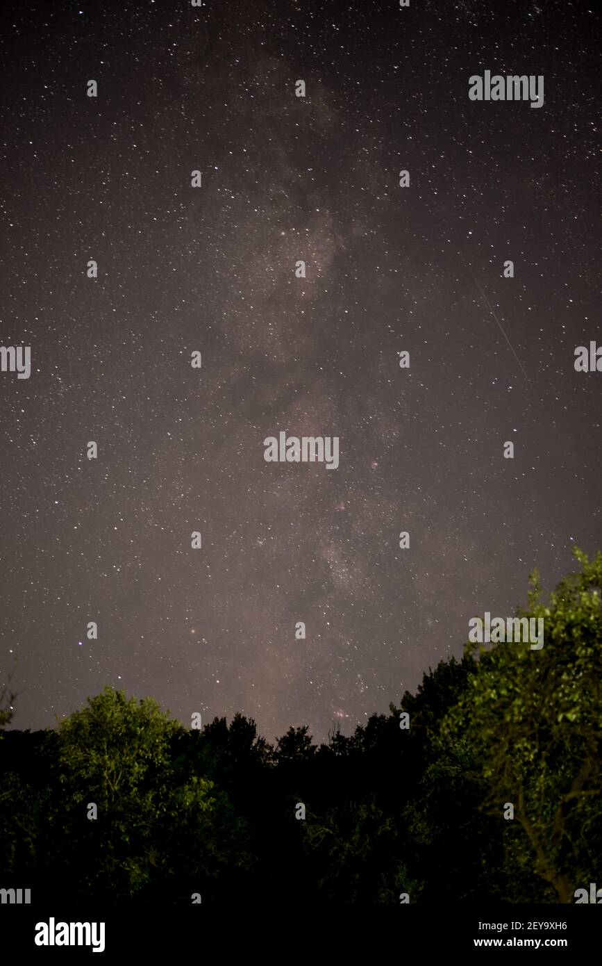A vertical shot of summer night sky with milky way galaxy shining ...