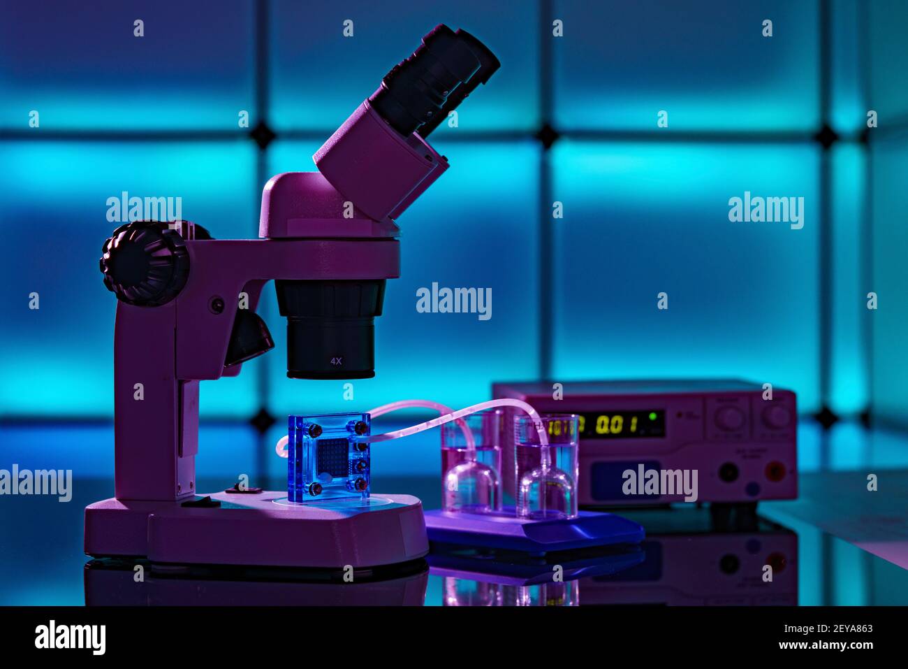 Hydrogen fuel cell Stock Photo Alamy