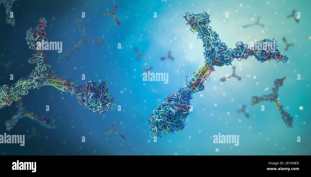 Antibody disease hi-res stock photography and images - Alamy