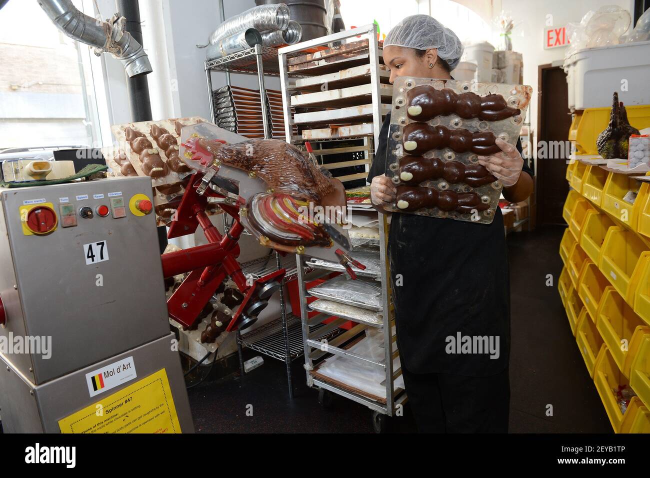 Chocolate maker Nashota b places molded chocolate bunny rabbits on