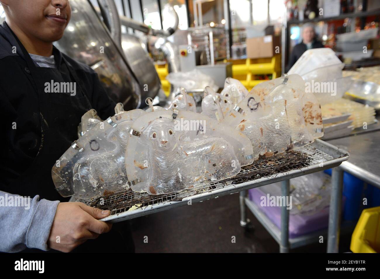 A Jacques Torres Chocolate employee moves "baby lamb" molds to be
