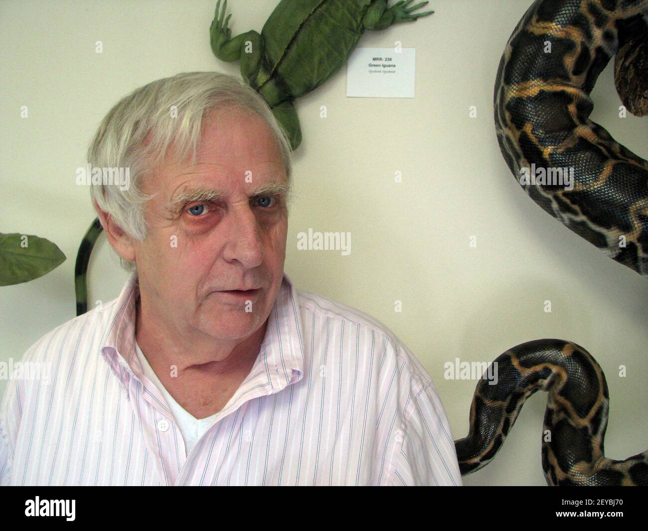 Joe Morgan, 69, recreates snakes and other reptiles in the